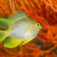 philippines_57