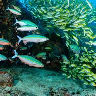 seychelles_12