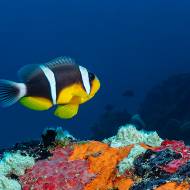seychelles_56