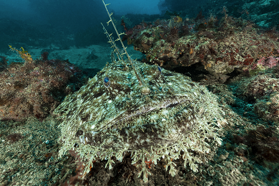 mediterranee_067