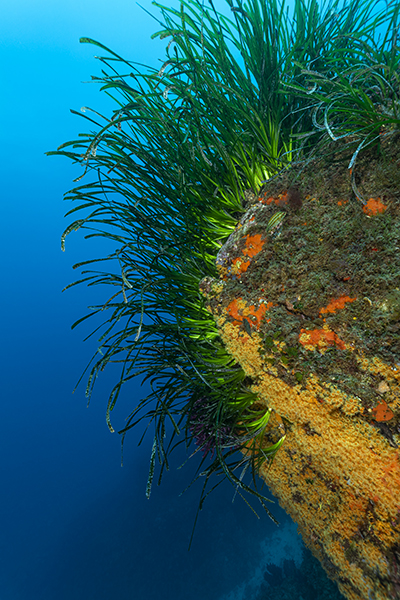 mediterranee_079