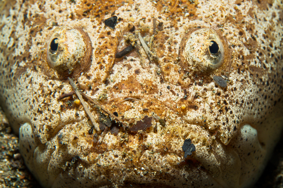 philippines_03