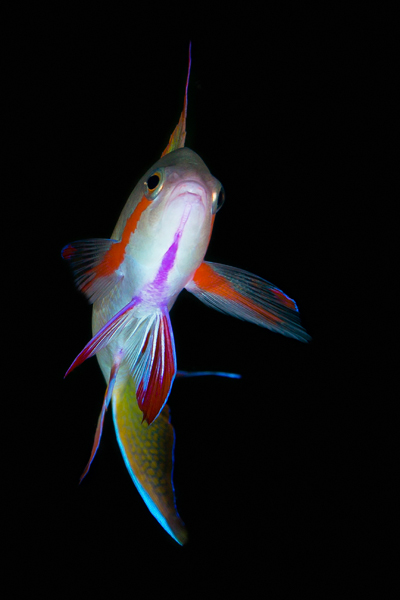 philippines_04