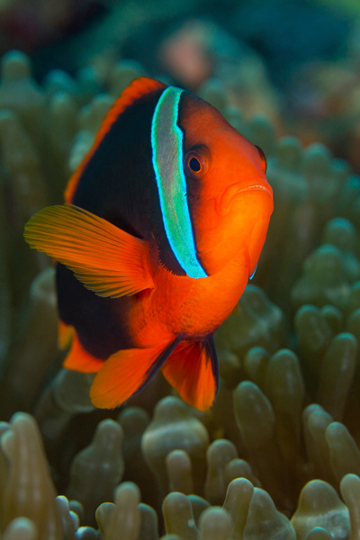philippines_05