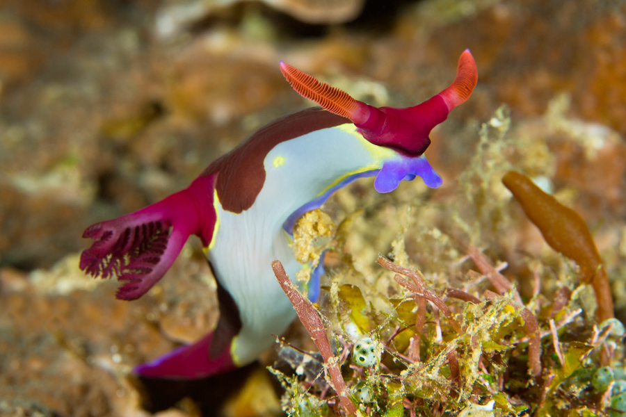 philippines_09