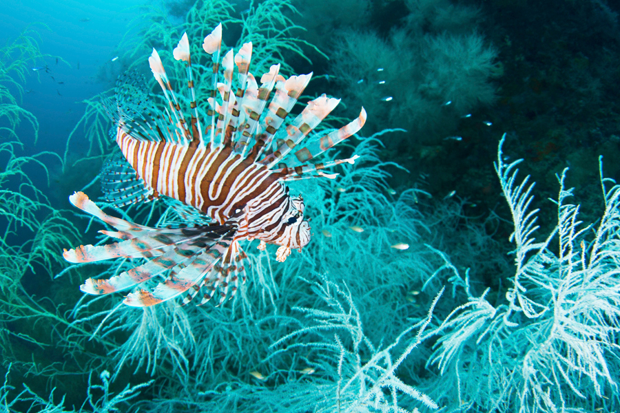 philippines_13