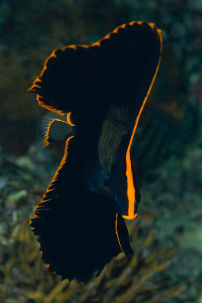 philippines_15