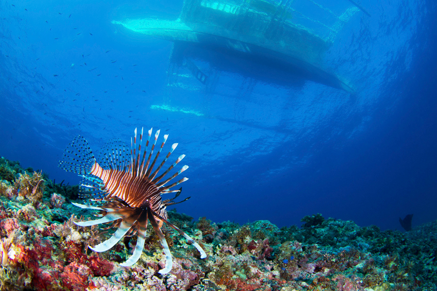 philippines_18