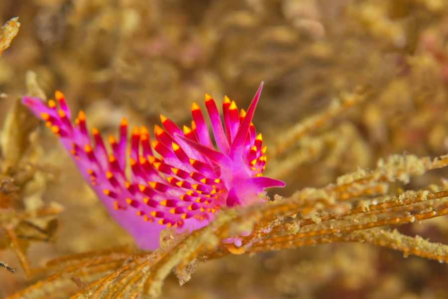 philippines_19