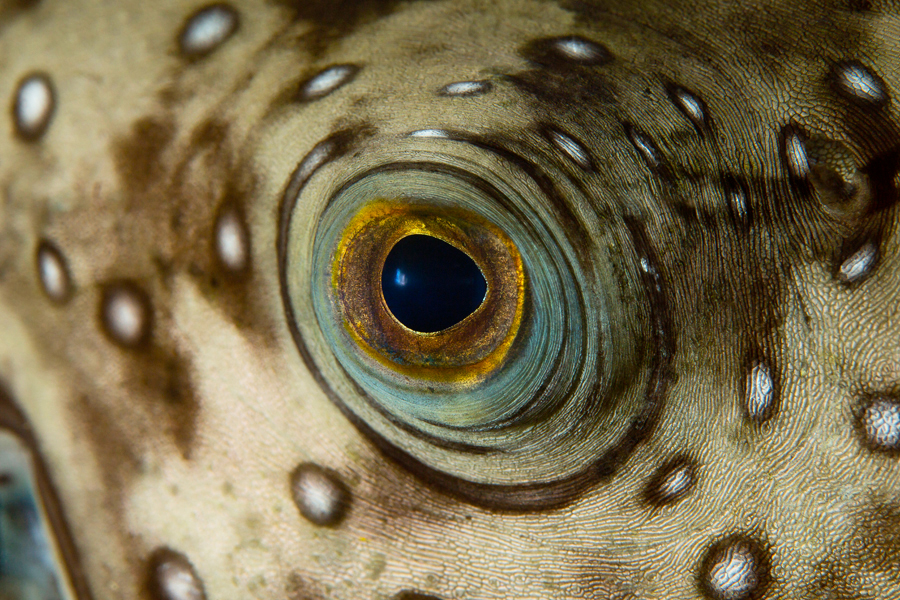 philippines_20