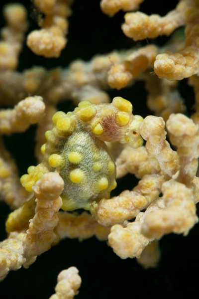 philippines_24