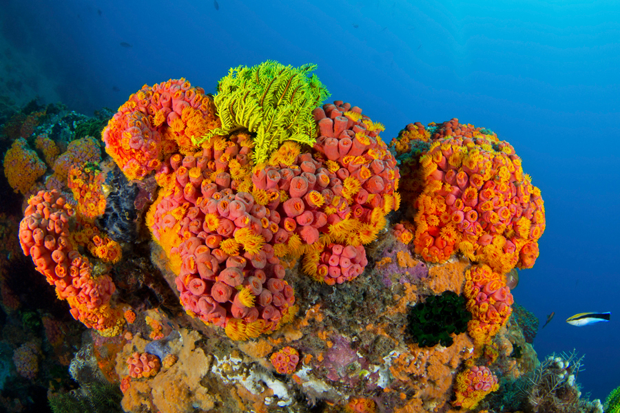 philippines_27