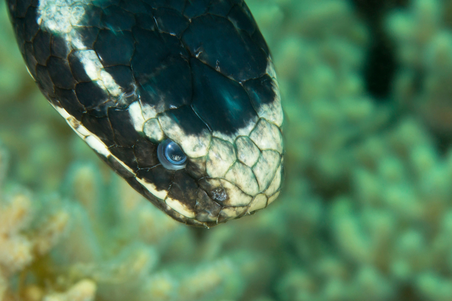 philippines_28