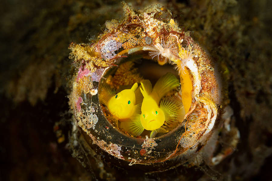 philippines_39
