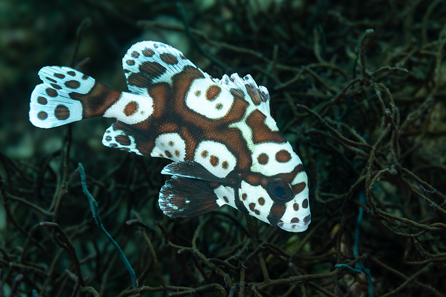 philippines_46