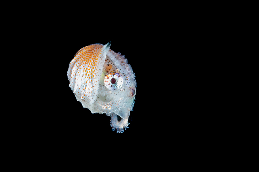 philippines_48
