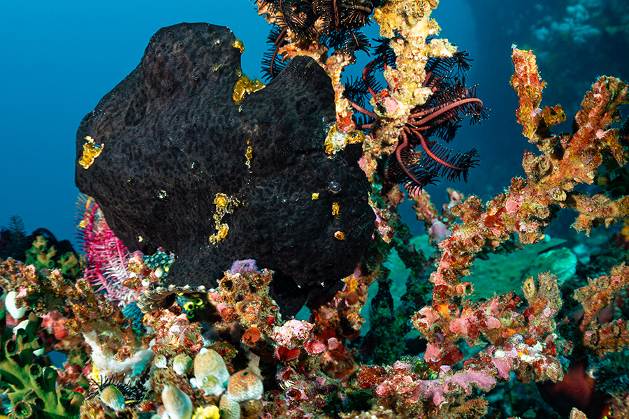 philippines_53