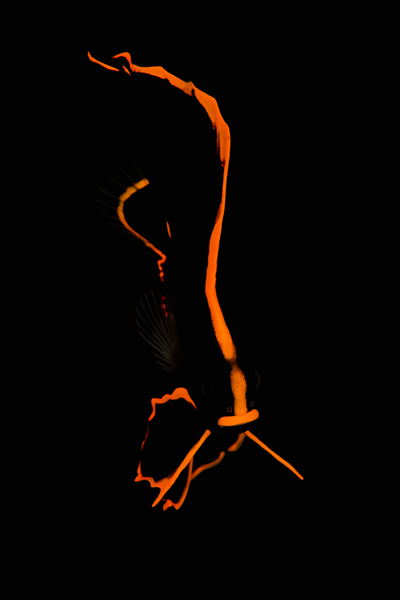 rajaampat_04
