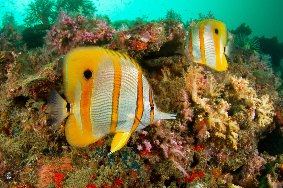 thailande_05