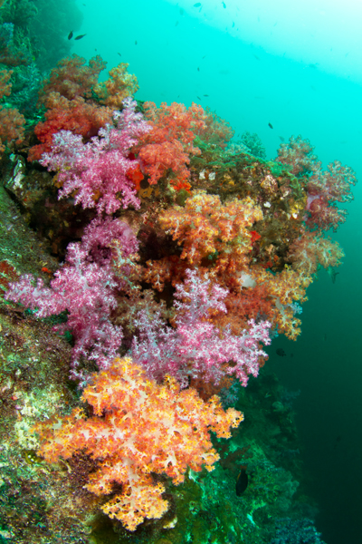 thailande_17