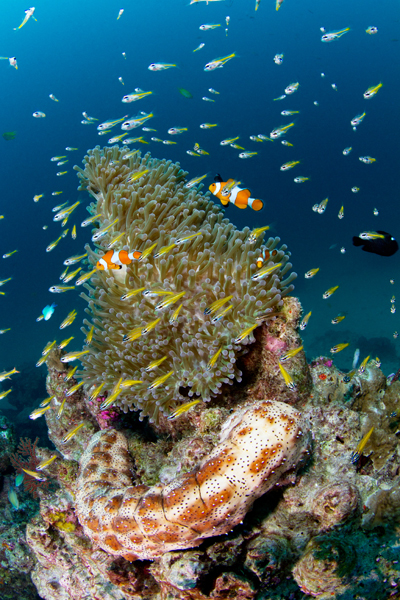 thailande_20