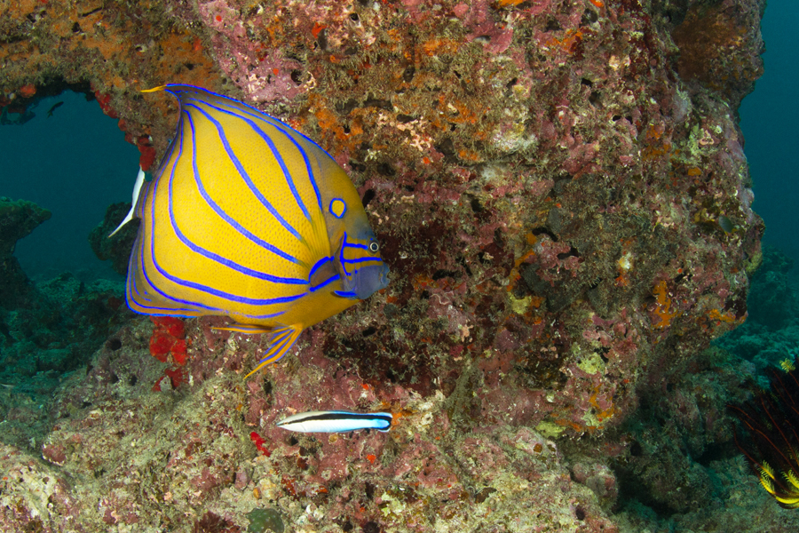 thailande_21