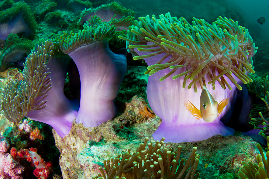 thailande_25