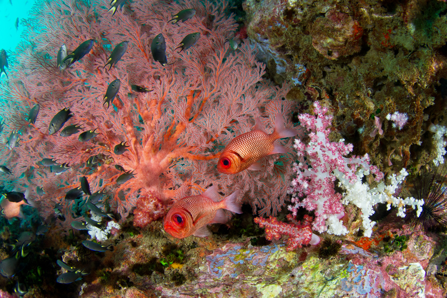 thailande_26