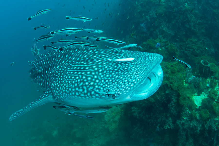 thailande_28