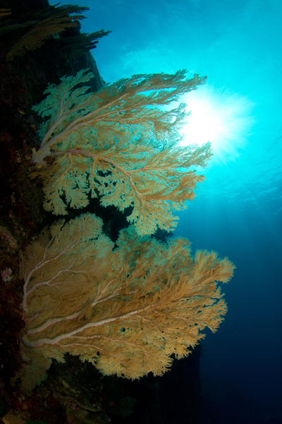 thailande_30