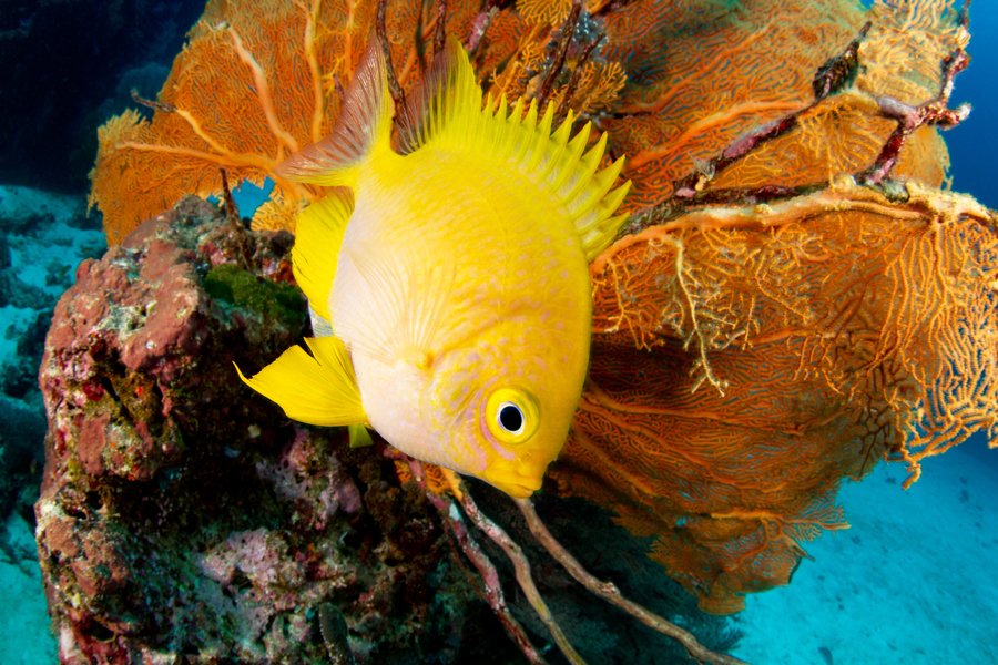 thailande_33