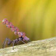 macro_069