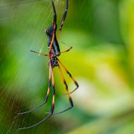 macro_092