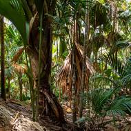 paysage_074