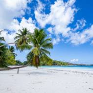 paysage_077