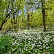 paysage_083