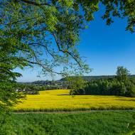 paysage_084