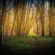 paysage_088