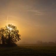 paysage_090