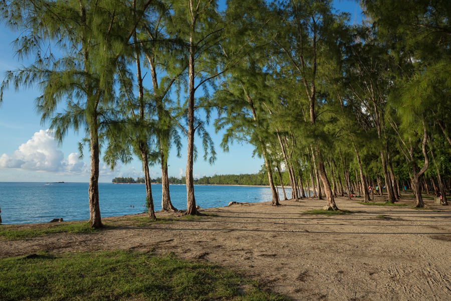 paysage_035