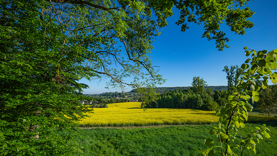 paysage_084