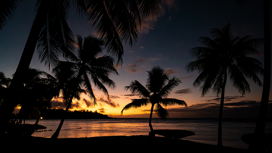 paysage_091